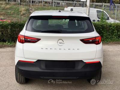 Opel Grandland 12V 130 CV Business Elega usata TURRIVALIGNANI