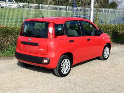 Fiat Panda FireFly S&S Hybrid 5 posti usata TURRIVALIGNANI