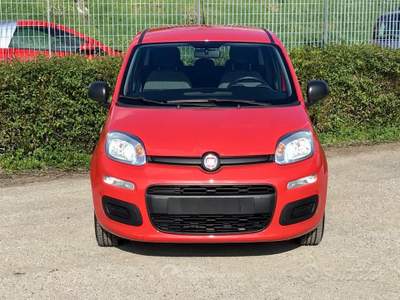 Fiat Panda FireFly S&S Hybrid 5 posti usata TURRIVALIGNANI