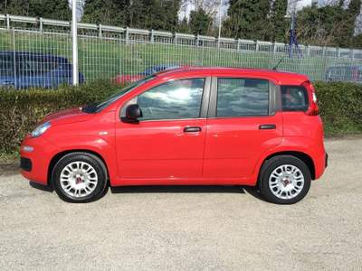 Fiat Panda FireFly S&S Hybrid 5 posti usata TURRIVALIGNANI