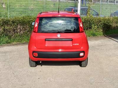 Fiat Panda FireFly S&S Hybrid 5 posti usata TURRIVALIGNANI