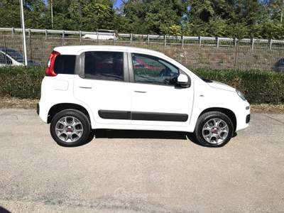 Fiat Panda 80 CV 4x4 Van 2 Posti usata TURRIVALIGNANI