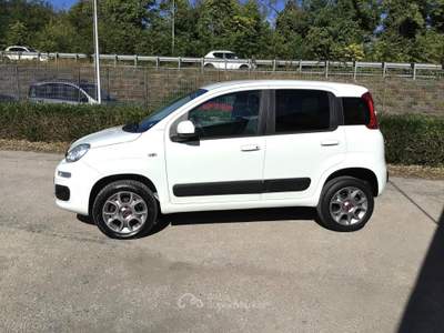 Fiat Panda 80 CV 4x4 Van 2 Posti usata TURRIVALIGNANI