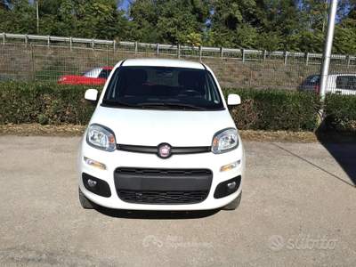 Fiat Panda 80 CV 4x4 Van 2 Posti usata TURRIVALIGNANI