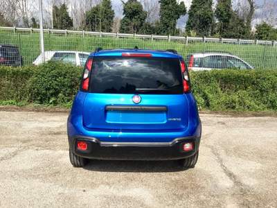 Fiat Panda Pandina Cross 1.0 FireFly S&S Hybrid usata TURRIVALIGNANI