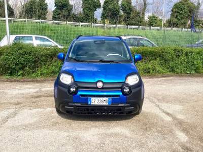Fiat Panda Pandina Cross 1.0 FireFly S&S Hybrid usata TURRIVALIGNANI