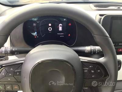 Fiat Panda Pandina Cross 1.0 FireFly S&S Hybrid usata TURRIVALIGNANI
