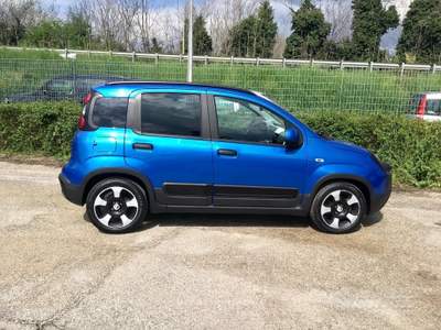 Fiat Panda Pandina Cross 1.0 FireFly S&S Hybrid usata TURRIVALIGNANI
