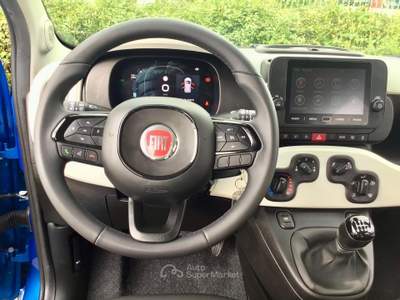 Fiat Panda Pandina Cross 1.0 FireFly S&S Hybrid usata TURRIVALIGNANI