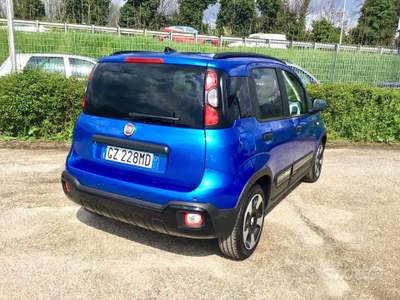 Fiat Panda Pandina Cross 1.0 FireFly S&S Hybrid usata TURRIVALIGNANI