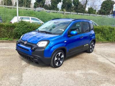 Fiat Panda Pandina Cross 1.0 FireFly S&S Hybrid usata TURRIVALIGNANI