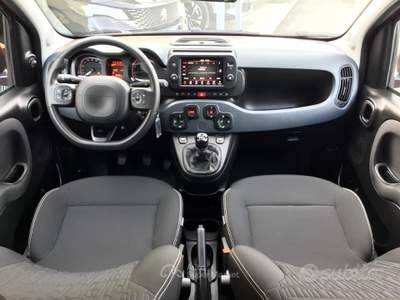 Fiat Panda Cross 1.0 70Cv firefly hybrid 5 Posti usata TURRIVALIGNANI