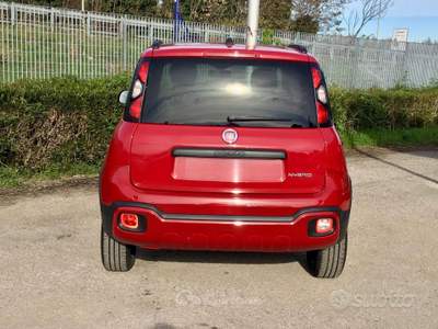 Fiat Panda Cross 1.0 70Cv firefly hybrid 5 Posti usata TURRIVALIGNANI