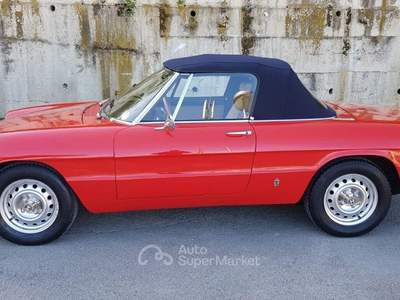 Alfa Romeo Spider 1.3 Junior usata TURRIVALIGNANI