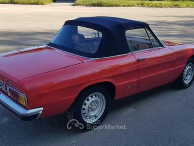 Alfa Romeo Spider 1.3 Junior usata TURRIVALIGNANI