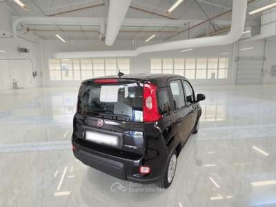 Fiat Panda FIAT PANDA 1.0 FIREFLY 70 CV SES HYBRID 5 PORTE BERLINA usata Casei Gerola