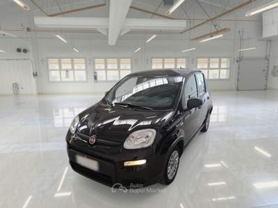 Fiat Panda FIAT PANDA 1.0 FIREFLY 70 CV SES HYBRID 5 PORTE BERLINA usata Casei Gerola