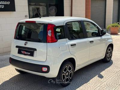 Fiat Panda 1,3 MJT 16v LOUNGE 95cv s&s Bianco usata Cerignola