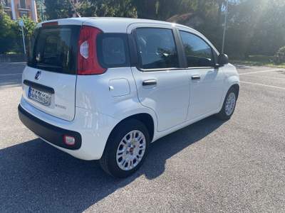 Fiat Panda Fiat Panda 1.0 firefly hybrid - SI come NUOVA !!! Bianco usata Riva del Garda