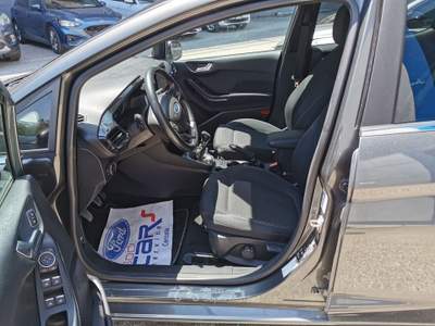 Ford Fiesta 75cv GPL 5 p. Titanium Grigio usata Cercola