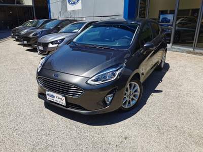 Ford Fiesta 75cv GPL 5 p. Titanium Grigio usata Cercola