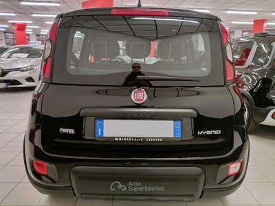Fiat Panda 1.0 70cv Hybrid Sport + Car Play Nero usata LEGNANO