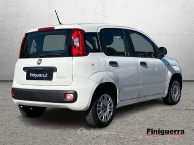 Fiat Panda 1.0 70cv S&S Hybrid Bianco usata Civate