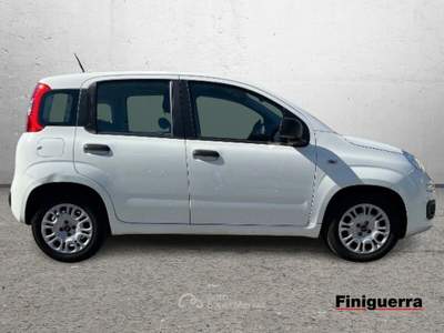 Fiat Panda 1.0 70cv S&S Hybrid Bianco usata Civate