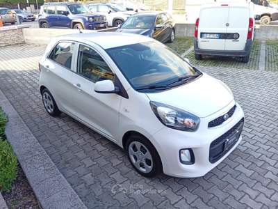 Kia Picanto Picanto 1.0 12V 5 porte Active Bianco usata Brescia