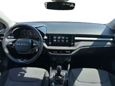 Skoda Fabia 1.0 TSI Evo 70KW 130 EDITION Argento usata Pistoia