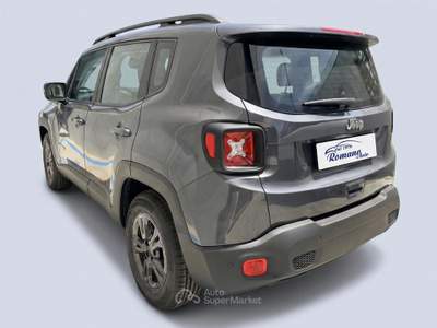Jeep Renegade 1.6 Mjt 130 CV Business Grigio usata Sant'Anastasia