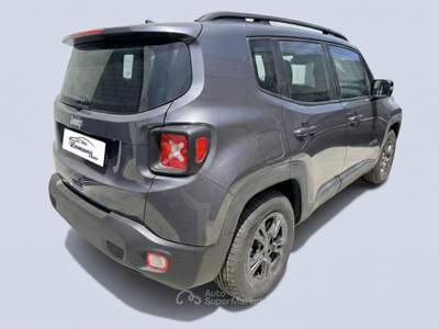 Jeep Renegade 1.6 Mjt 130 CV Business Grigio usata Sant'Anastasia