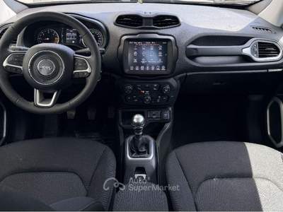 Jeep Renegade 1.6 Mjt 130 CV Business Grigio usata Sant'Anastasia