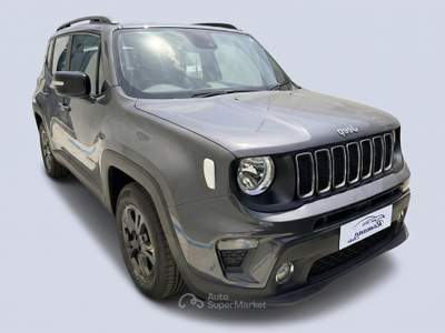 Jeep Renegade 1.6 Mjt 130 CV Business Grigio usata Sant'Anastasia