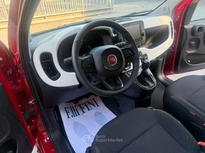 Fiat Panda 1.0 FireFly S&S Hybrid Pandina Rosso usata San Giorgio di Piano