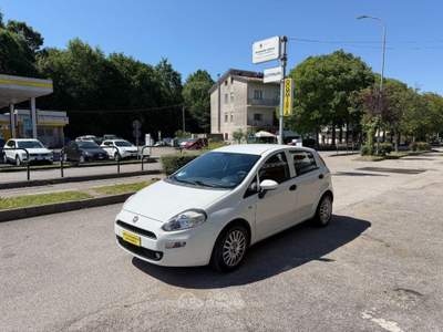 Fiat Punto 1.3 MJT II 75 CV 5p. Street Bianco usata Mirano