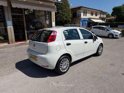 Fiat Punto 1.3 MJT II 75 CV 5p. Street Bianco usata Mirano
