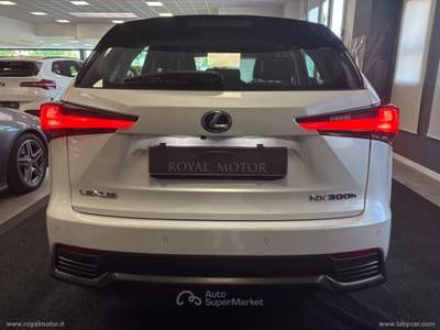 Lexus NX NX 300H Hybrid 4WD Executive Bianco usata Villorba