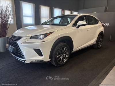 Lexus NX NX 300H Hybrid 4WD Executive Bianco usata Villorba
