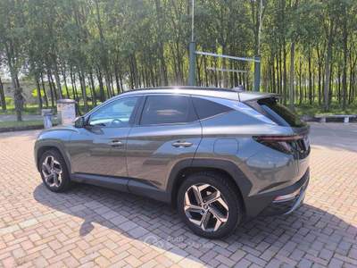 Hyundai Tucson aut. Exellence usata Castel d'Azzano