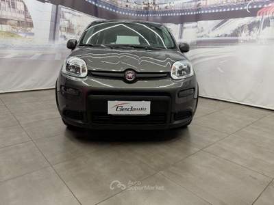Fiat Panda FireFly S&S Hybrid City Life usata CASAGIOVE