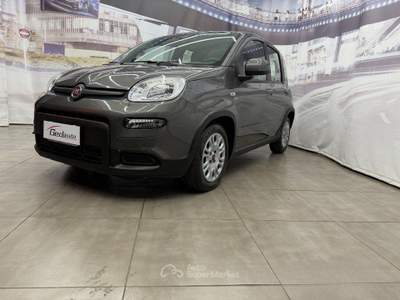 Fiat Panda FireFly S&S Hybrid City Life usata CASAGIOVE