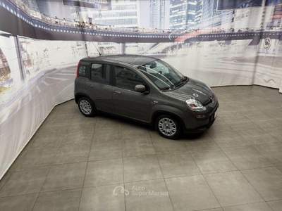 Fiat Panda FireFly S&S Hybrid City Life usata CASAGIOVE