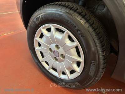 Fiat Panda Panda 1.2 4x4 Climbing Grigio usata Rivoli