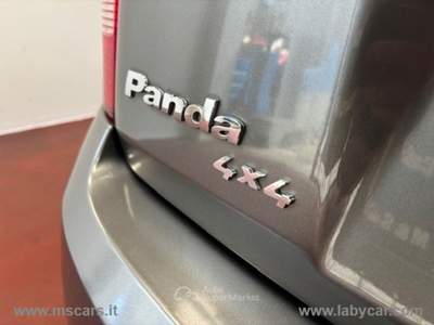 Fiat Panda Panda 1.2 4x4 Climbing Grigio usata Rivoli