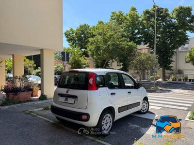 Fiat Panda 1.2 Easy 69cv E6 Bianco usata Pomezia