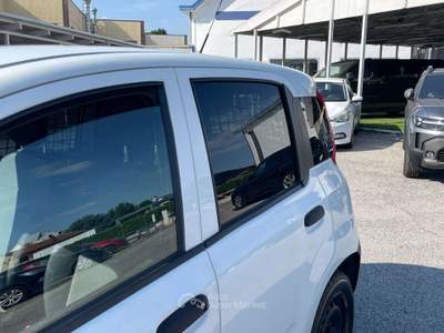 Fiat Panda VAN 1.2 Easy 69CV AUTOCARRO N1 Bianco usata TORINO