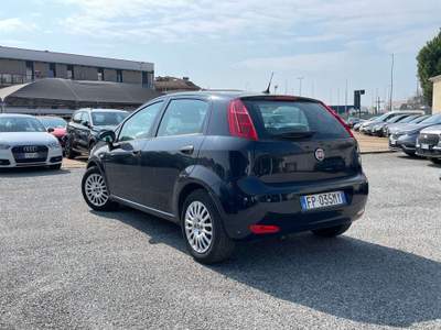 Fiat Punto 5p 1.3 Mjt 95CV Street Nero usata TORINO