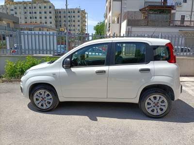 Fiat Panda Vettura in eccellenti condizioni Bianco usata FOGGIA