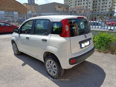 Fiat Panda Vettura in eccellenti condizioni Bianco usata FOGGIA